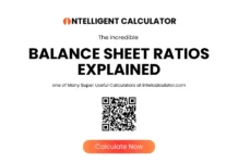 Balance Sheet Ratios Explained Balance sheet ratios explained infographic showing 15 key financial ratios organized into liquidity leverage profitability and efficiency categories with formulas and healthy ranges for each ratio