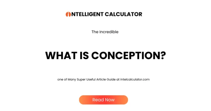 What Is Conception? – Meaning, Process & Pregnancy Explained